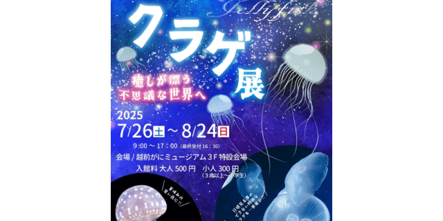 【越前がにミュージアム】クラゲ展2025 ～癒しが漂う不思議な…