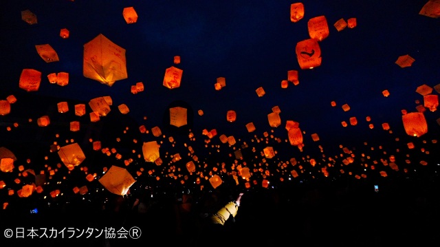 ふくい桜ランタンナイト（第41回ふくい桜まつり）