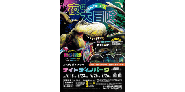 ナイトディノパーク