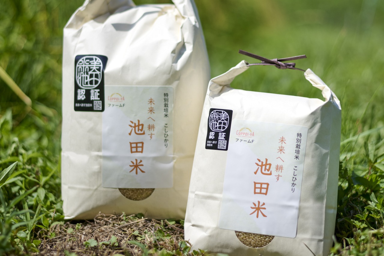新米も販売