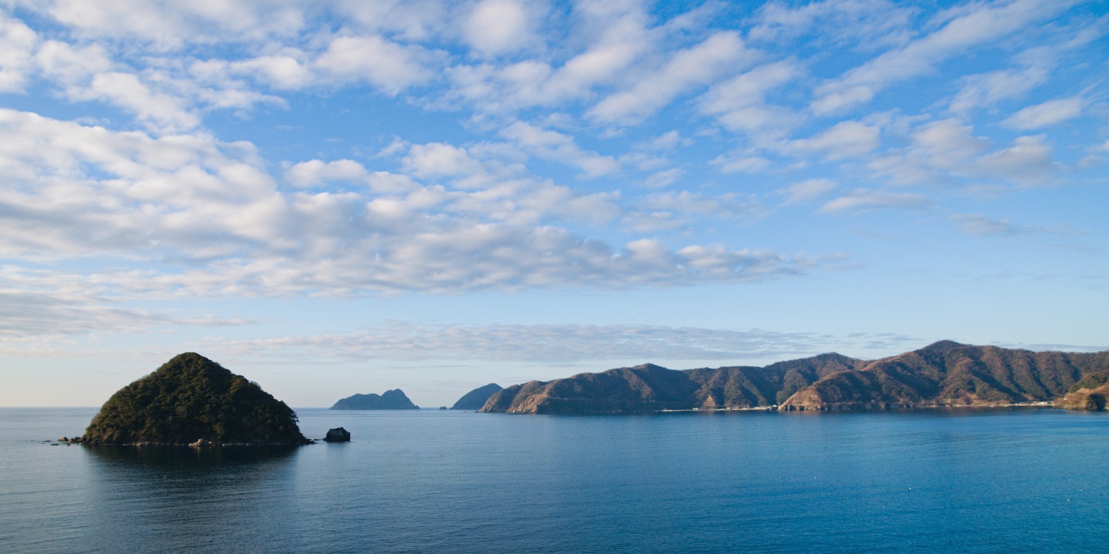 烏辺島と入り組んだ海岸線を眺める世久見湾